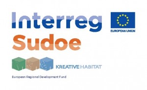 KREATIVE HABITAT: Workshop, Madrid (ES)